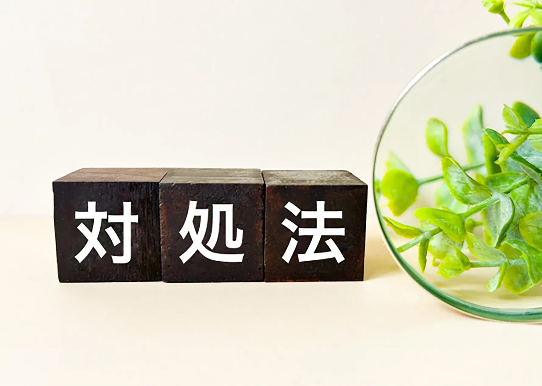 ブリッジの対処法